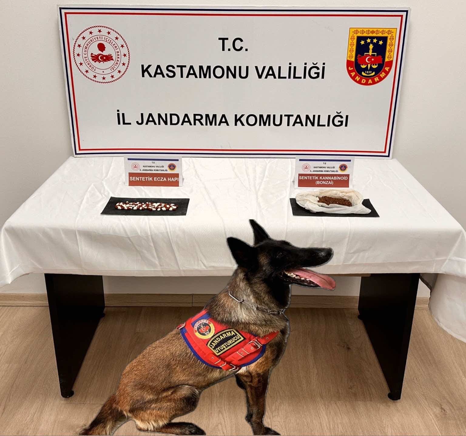 Kastamonu'da uyuşturucu operasyonunda 2 şüpheli tutuklandı