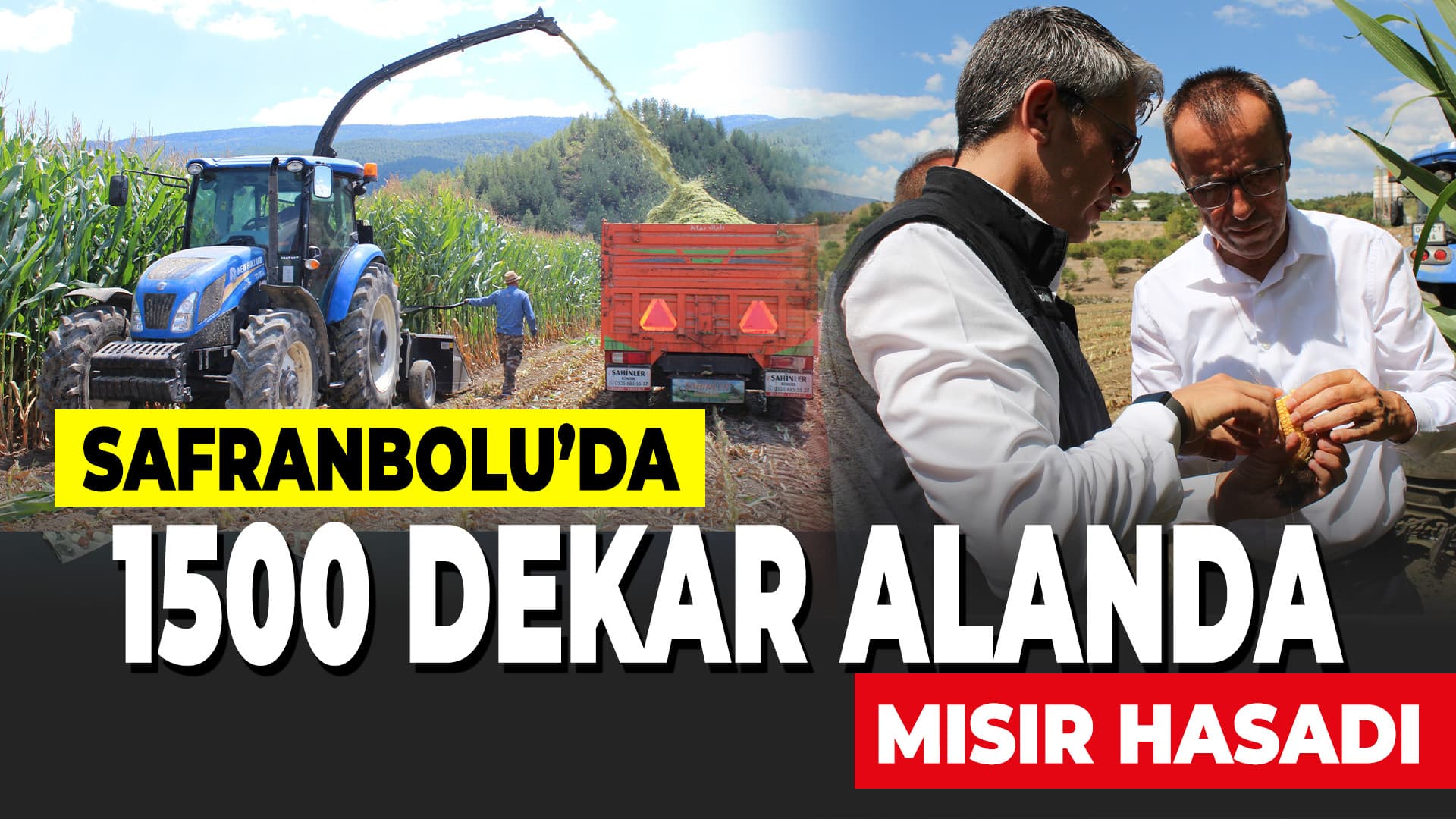 Karabük'te 1500 dekar alanda ekilen silajlık mısırın hasadına başlandı