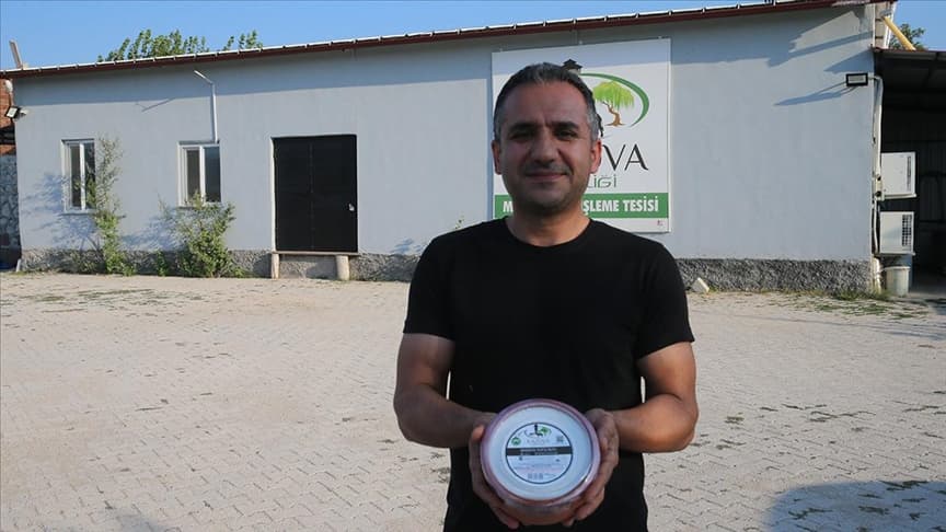 Tokat'ta üretilen manda yoğurdu Dubai'ye satılıyor