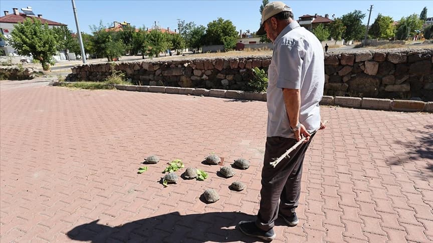 Acıgöllü "kaplumbağa terbiyecisi"