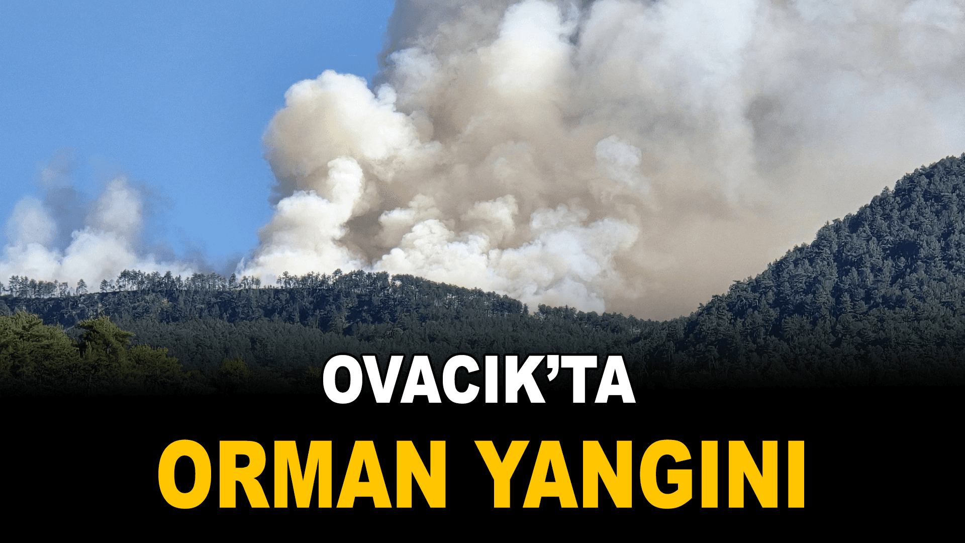Ovacık'ta Çıkan Yangına Müdahale Ediliyor