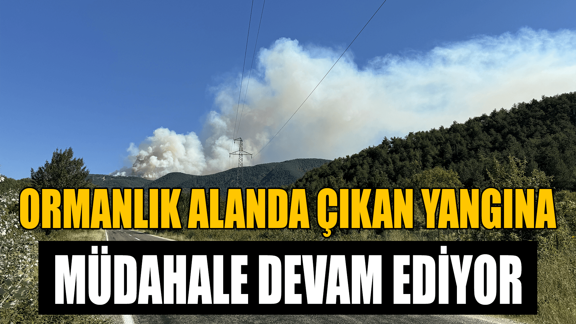 Karabük'te ormanlık alanda çıkan yangına müdahale ediliyor