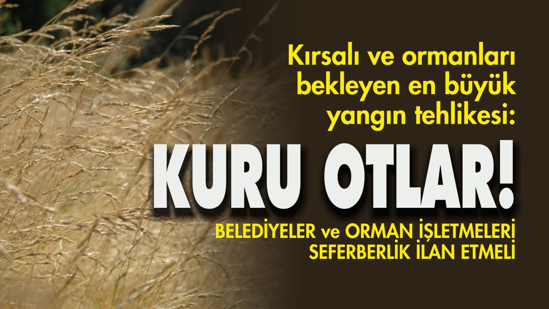 Kırsalı ve ormanları bekleyen en büyük yangın tehlikesi: Kuru otlar