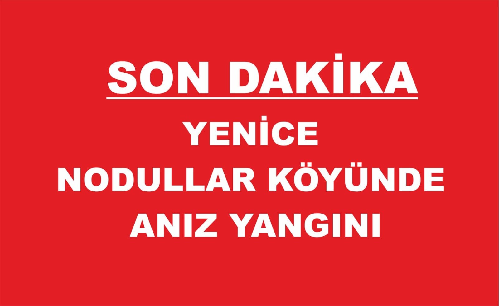 Yenice'de anız yangını