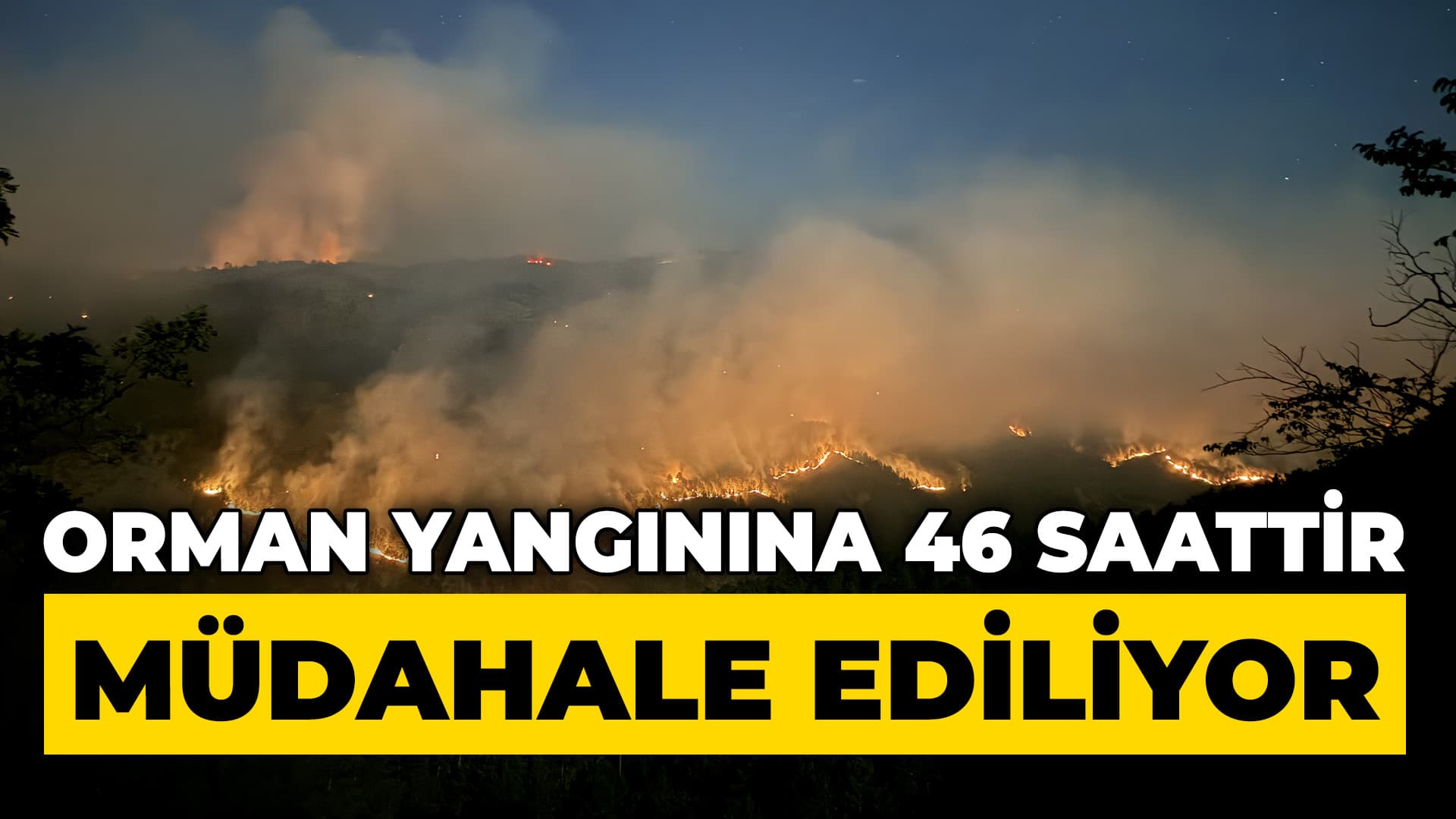 Karabük'te ormanlık alanda çıkan yangına müdahale ediliyor