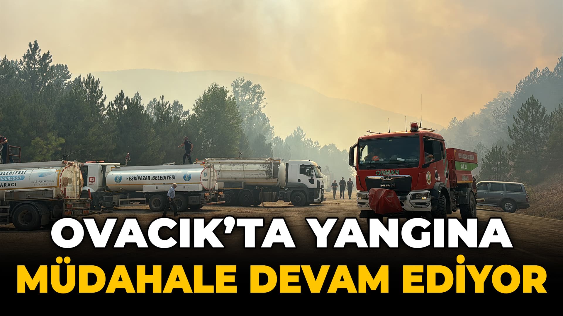 Karabük'te ormanlık alanda çıkan yangına müdahale ediliyor