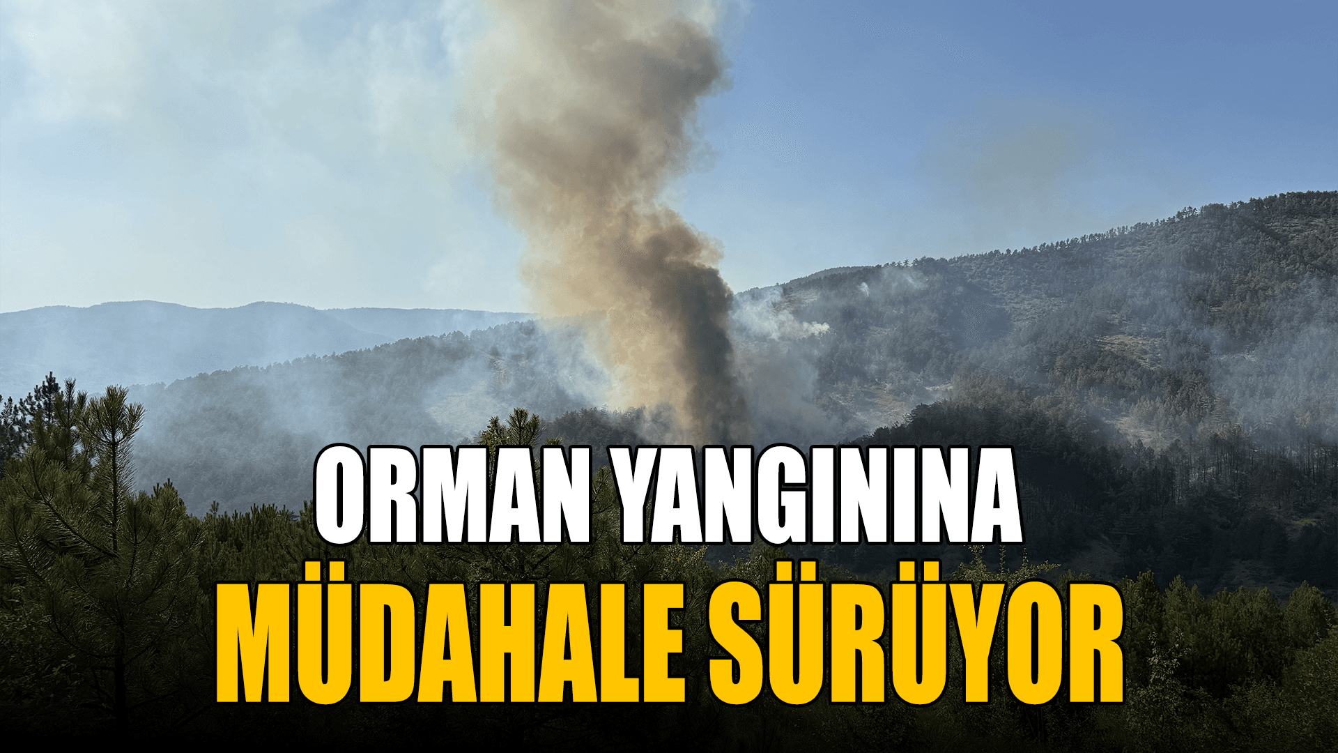Karabük'te ormanlık alanda çıkan yangına müdahale ediliyor