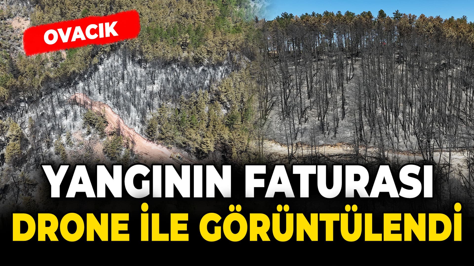 Karabük'te orman yangınında zarar gören alanlar havadan görüntülendi