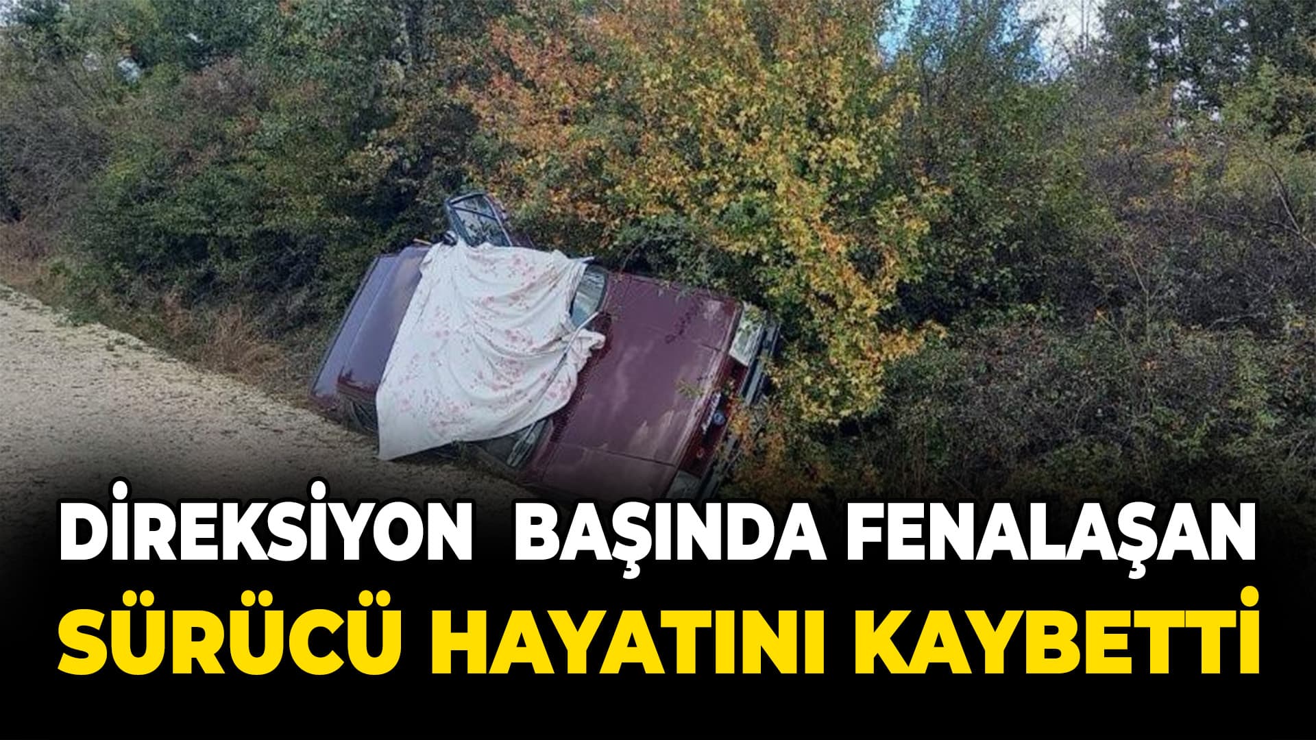 Karabük'te direksiyon başında fenalaşarak kaza yapan sürücü öldü