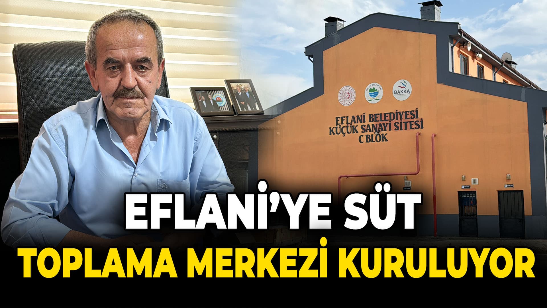 Eflani'de süt toplama merkezi kurulacak