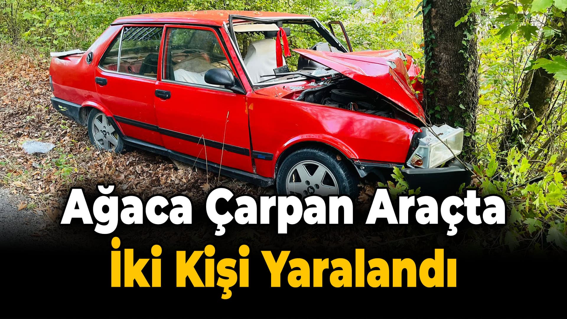 Karabük'te ağaca çarpan otomobildeki 2 kişi yaralandı