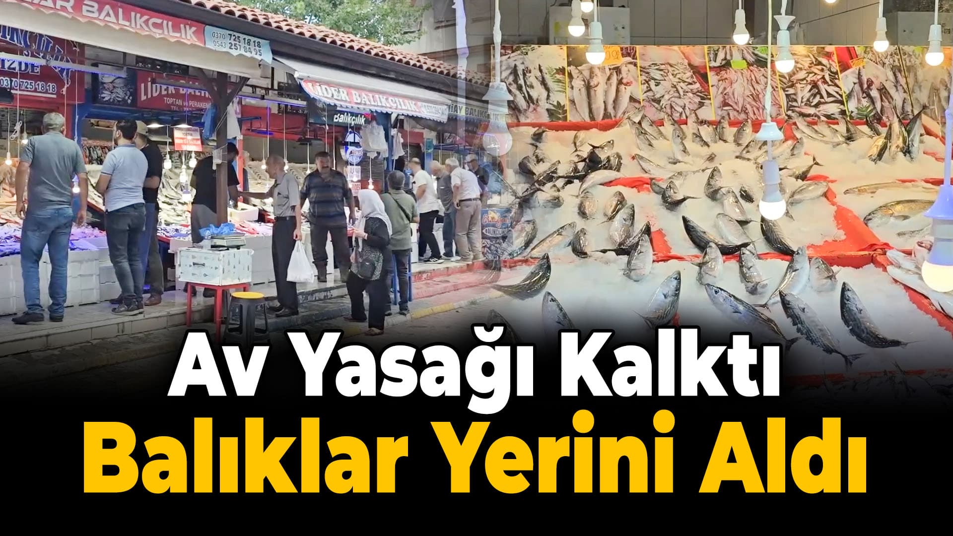 Karabük'te balıklar tezgahtaki yerini aldı
