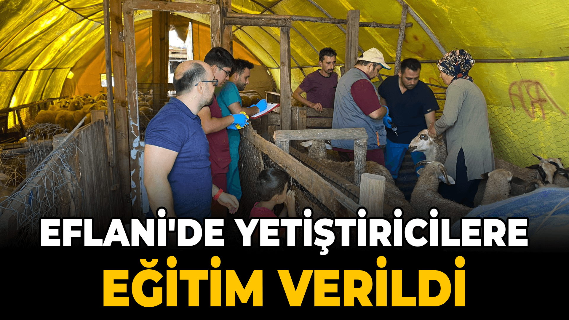 Eflani'de yetiştiricilere küçükbaş hayvancılık eğitimi verildi