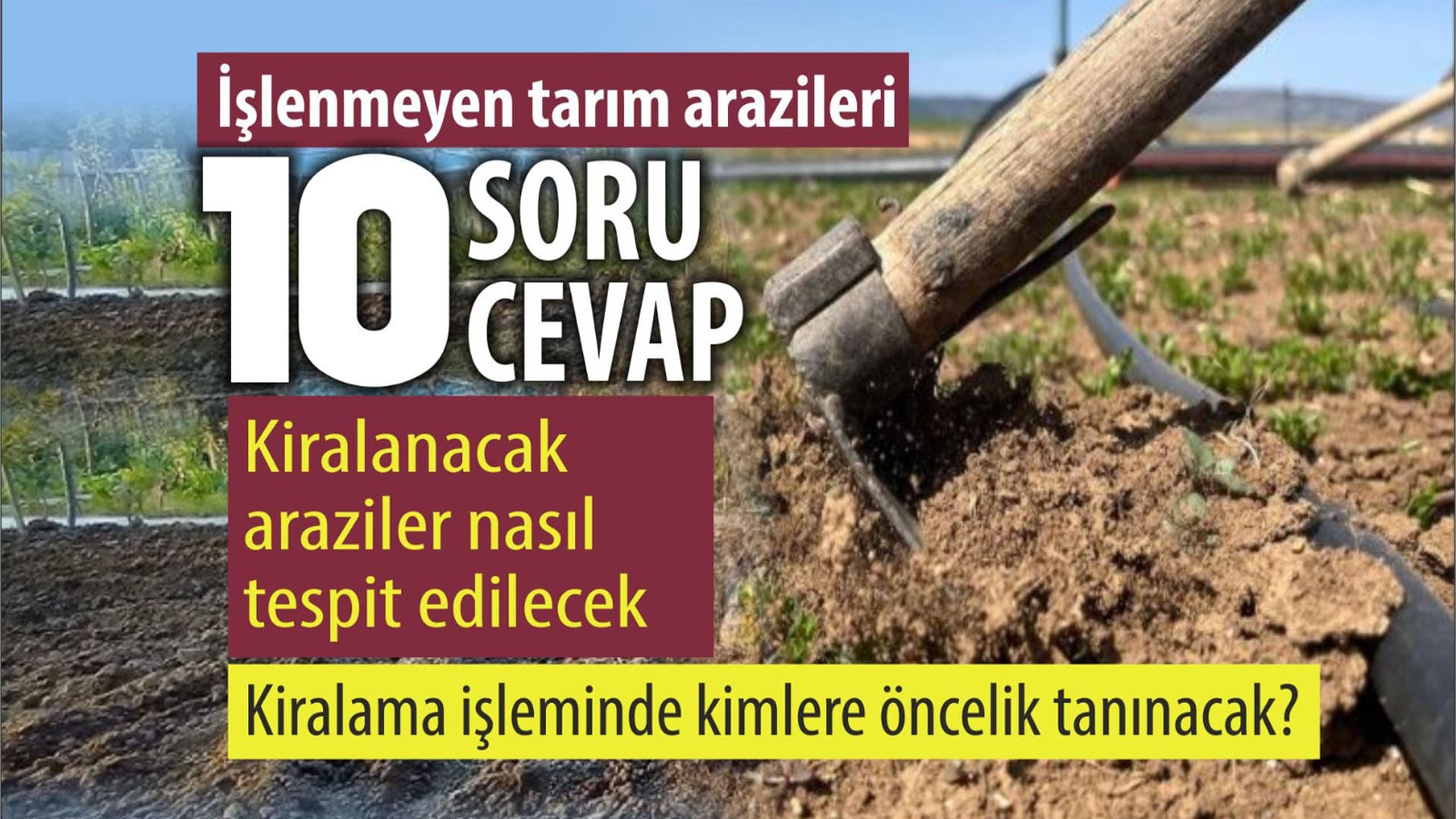 İşlenmeyen tarım arazileriyle ilgili 10 soru 10 cevap