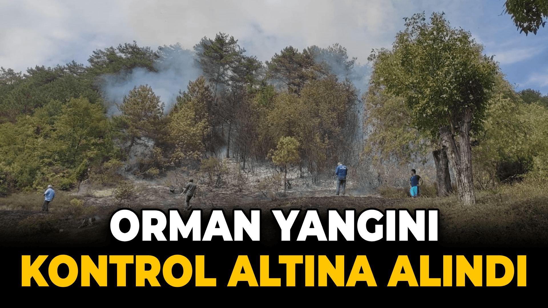 Orman yangınında 15 dönüm alan zarar gördü