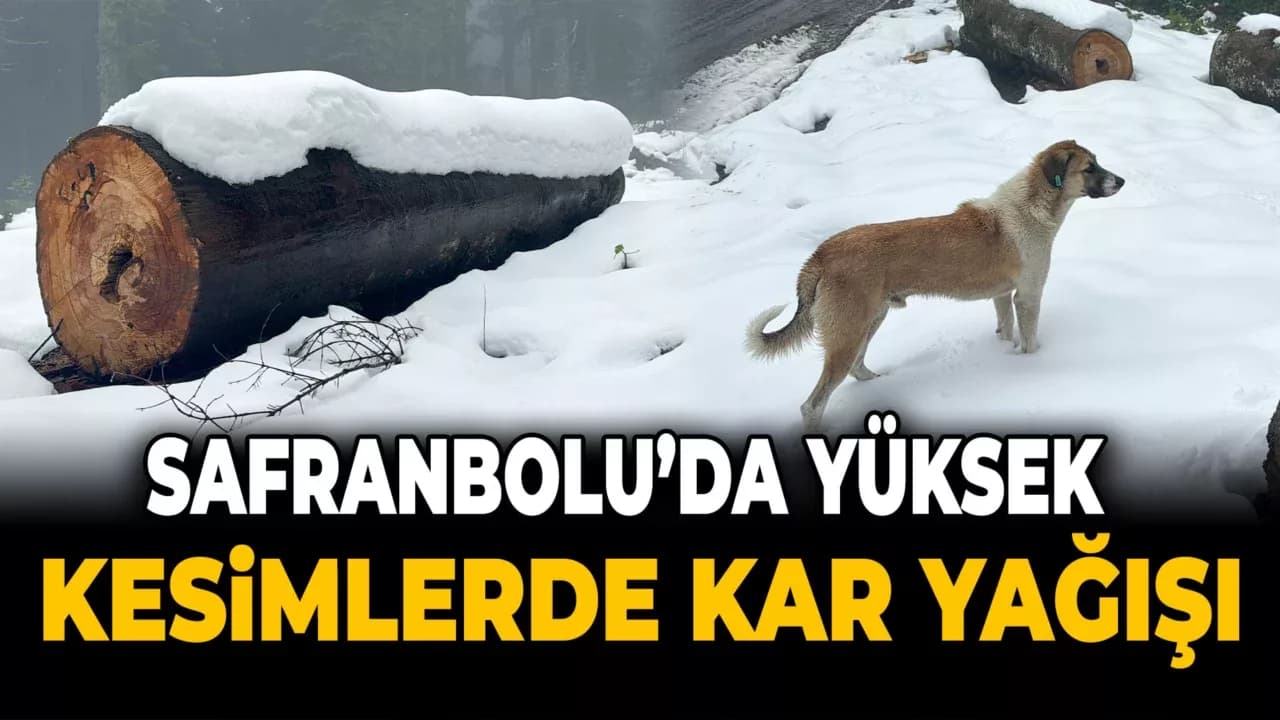 Karabük'ün Yüksek Kesimlerinde Kar Yağışı Etkili Oldu
