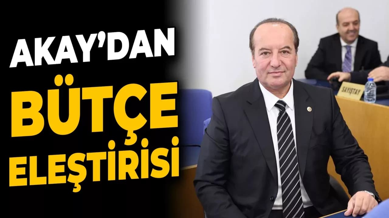 Cevdet Akay'dan 2025 Yılı Bütçesi Eleştirisi