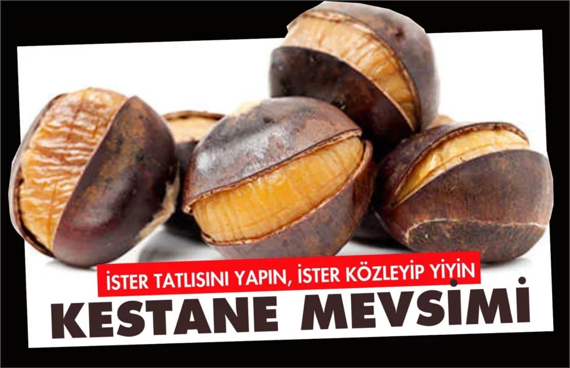 Karabük'te Kestane Mevsimi!