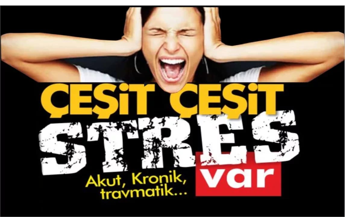 Stresin Çok Çeşiti Var!