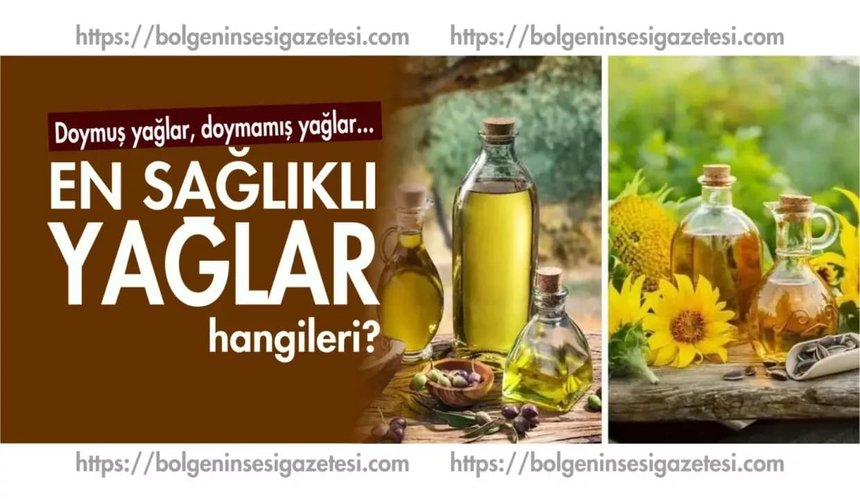 En sağlıklı yağlar hangileri?