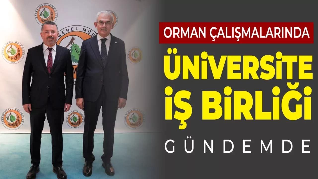 Orman Çalışmalarında Destek ve İş Birliği Önerileri
