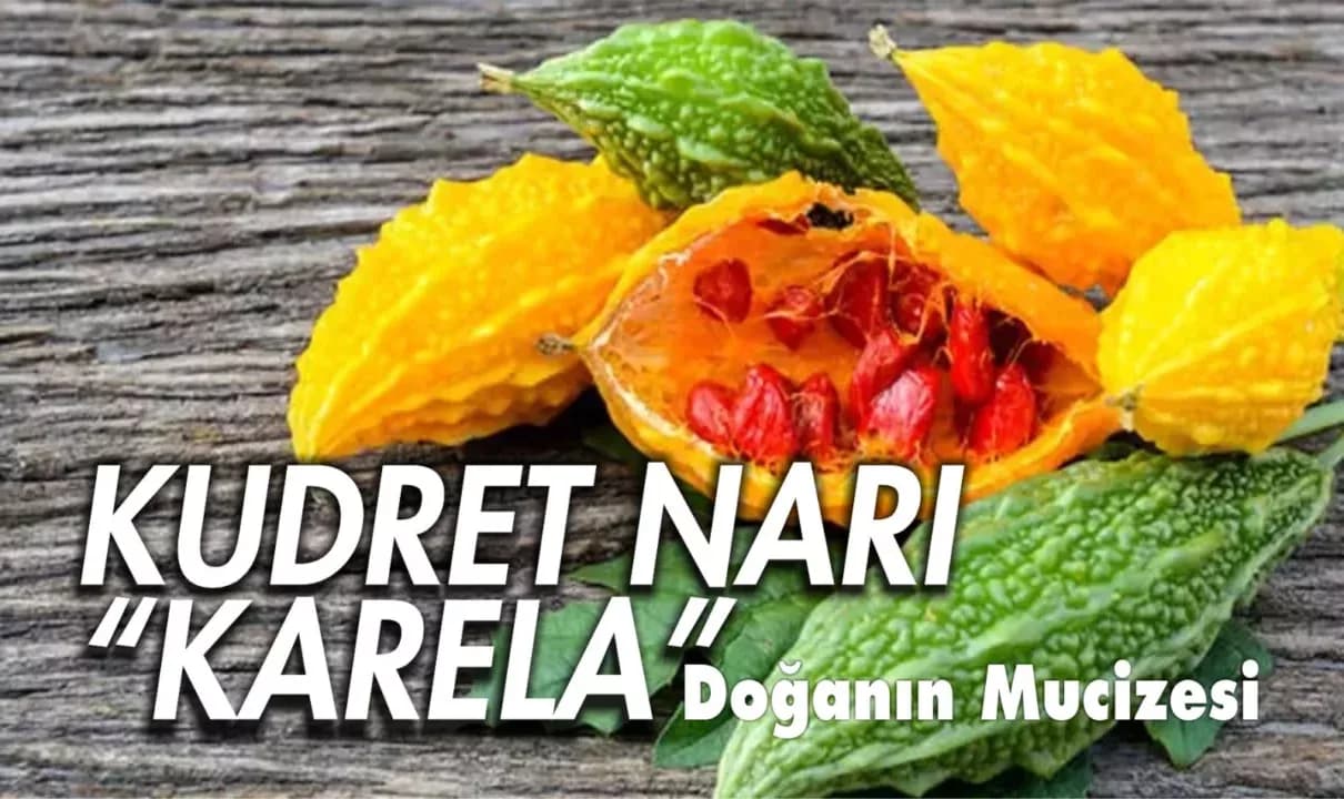 Kudret Narı Nedir?