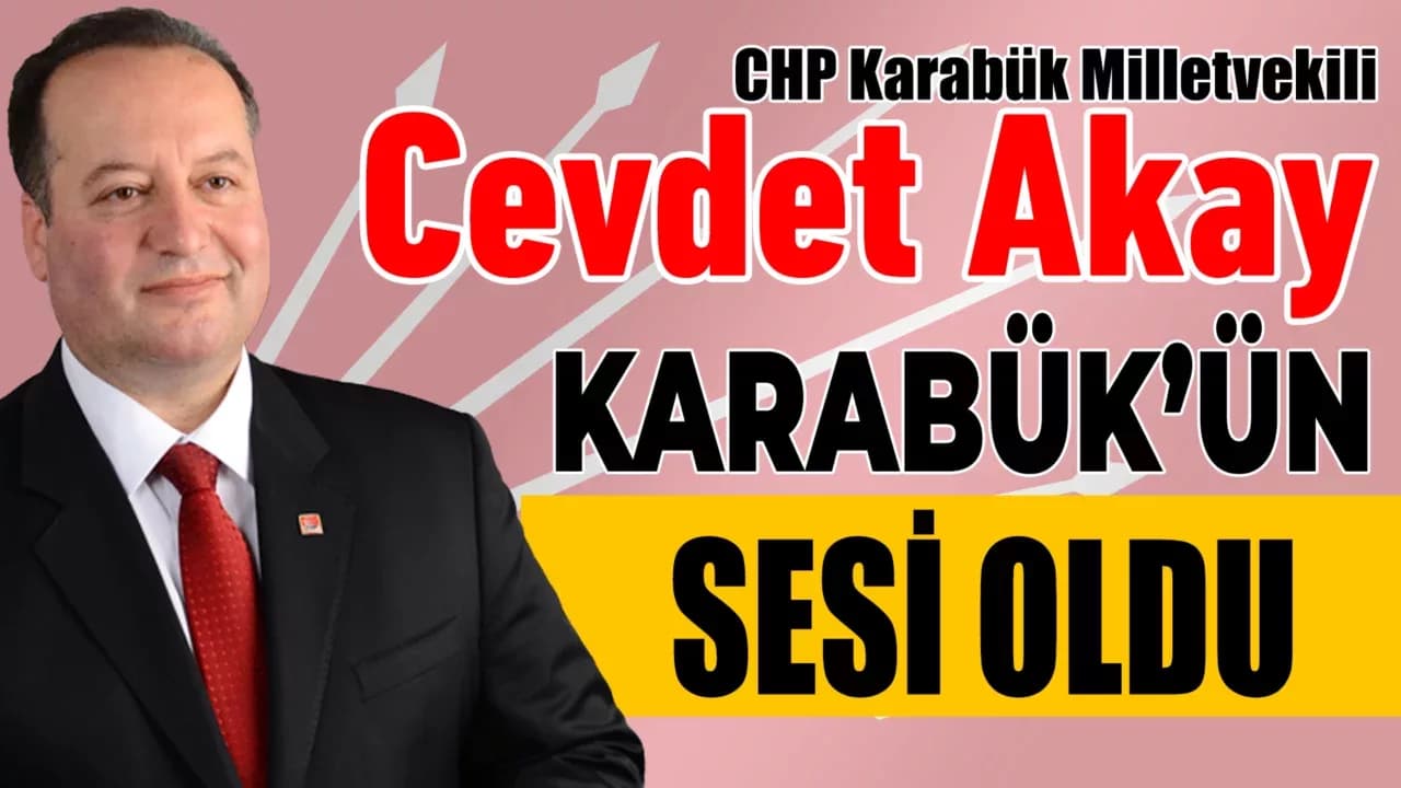 Karabük Sağlık Sorunları TBMM'de Gündeme Geldi