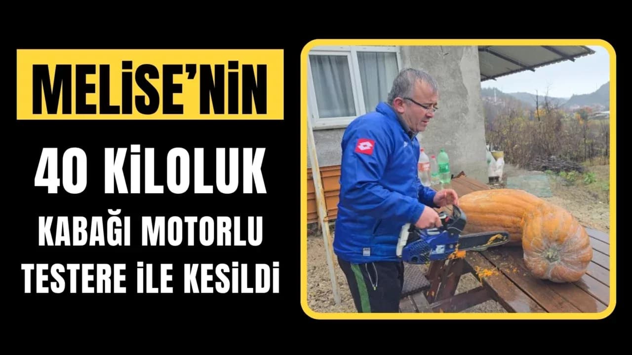 Melise'nin Ünlü Kabağı Kesildi