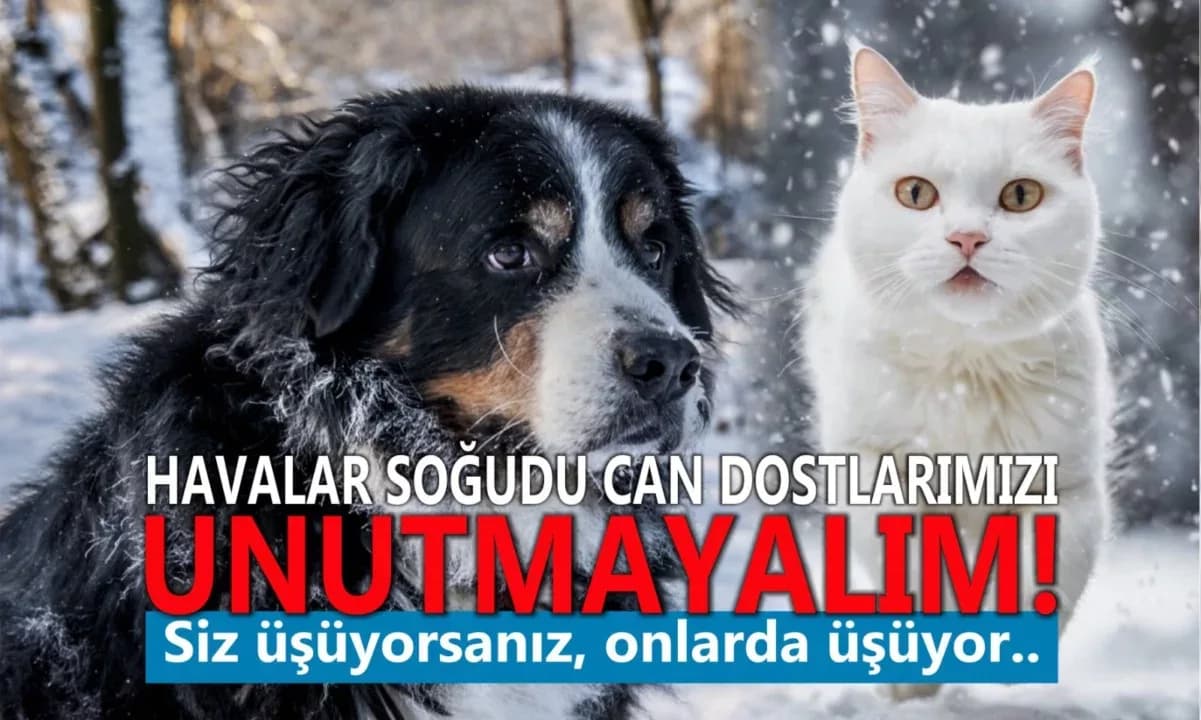 CAN DOSTLARIMIZA CAN OLALIM!