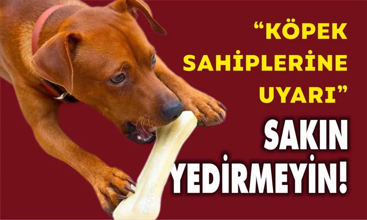 “Köpeklere Kemik Yedirmeyin!”