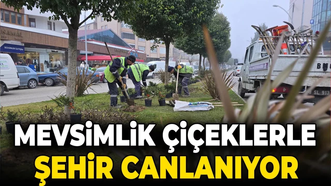 Mevsimlik Çiçeklerle Şehir Canlanıyor