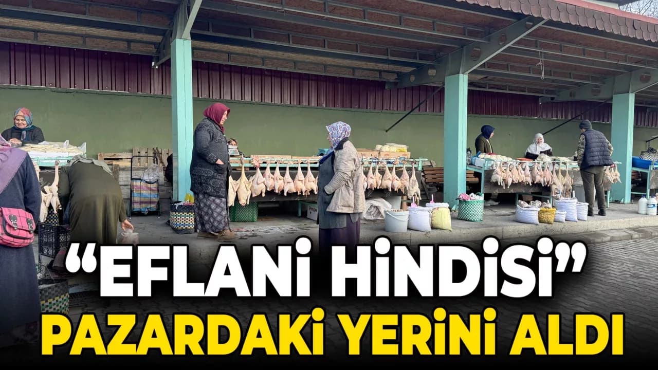 Doğal ortamda beslenen "Eflani hindisi" yeni yıl öncesi pazardaki yerini aldı