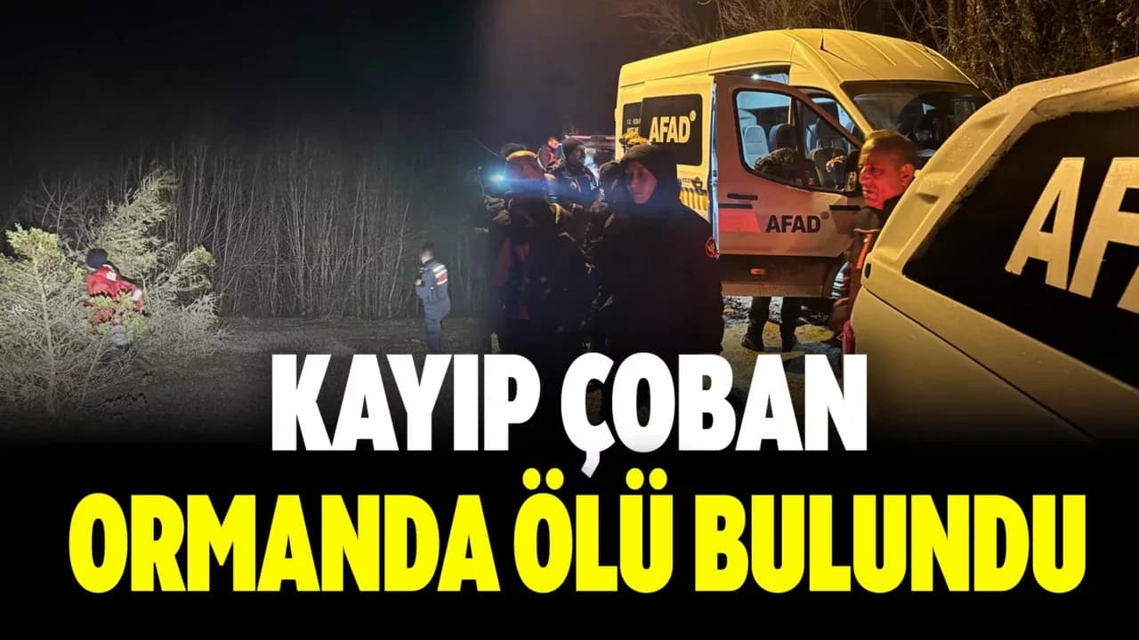 Eflani'de Hayvanlarını Otlatmaya Giden Kişi Ormanda Ölü Bulundu