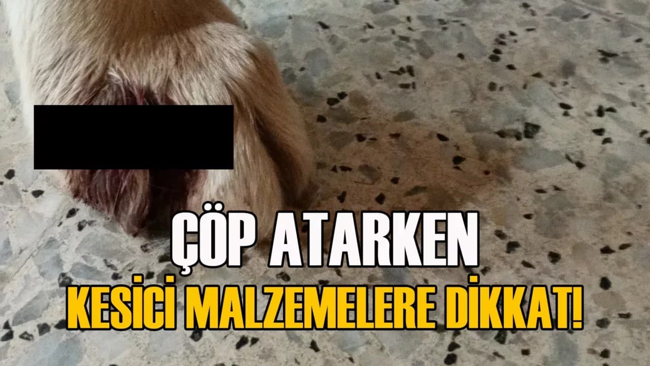 Çöplerin İçindeki Kesici Malzemeler Can Acıtıyor