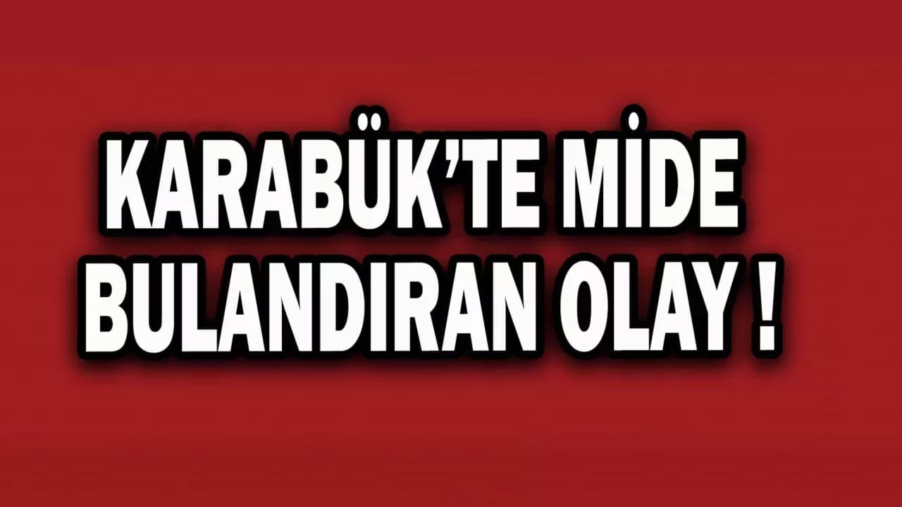 Karabük'te Cevizlidere Mahallesi’ndeki Yaşlı Bir Adamın Dişi Köpeklere 2 Yıldır Tecavüz Ettiği İddia Edildi