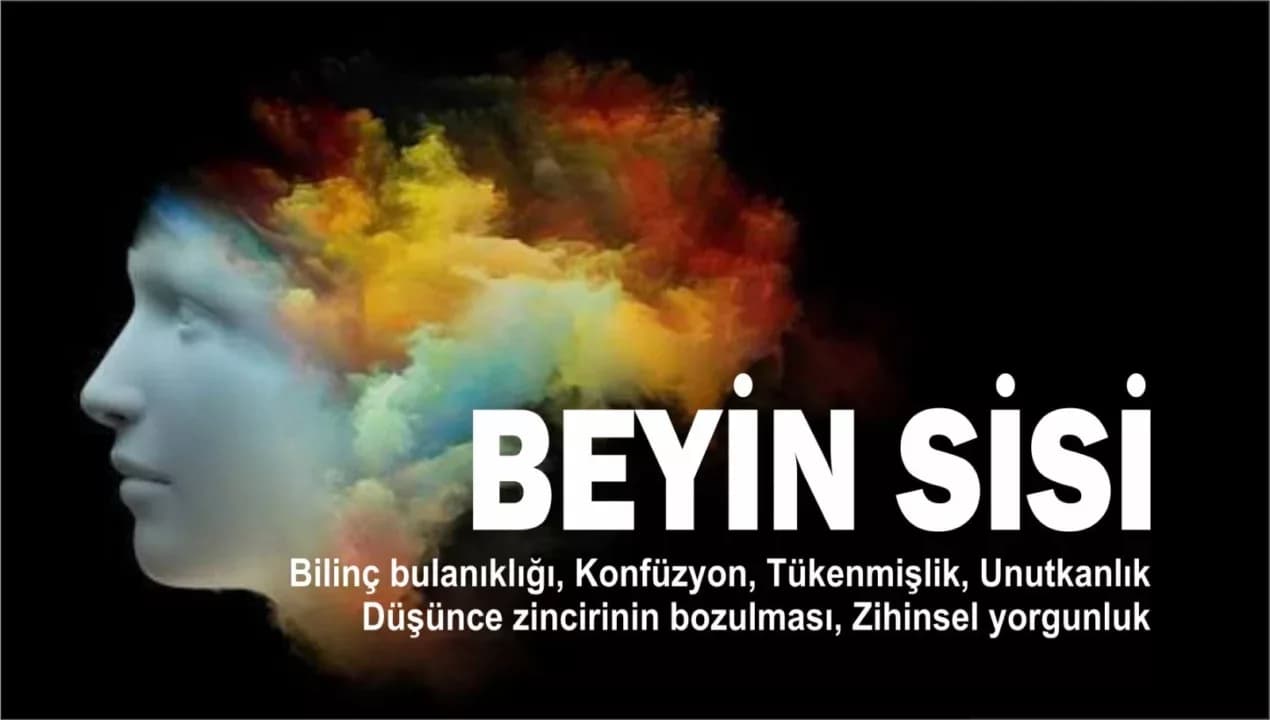 Beyin sisine dikkat! Beyin sisi nedir?