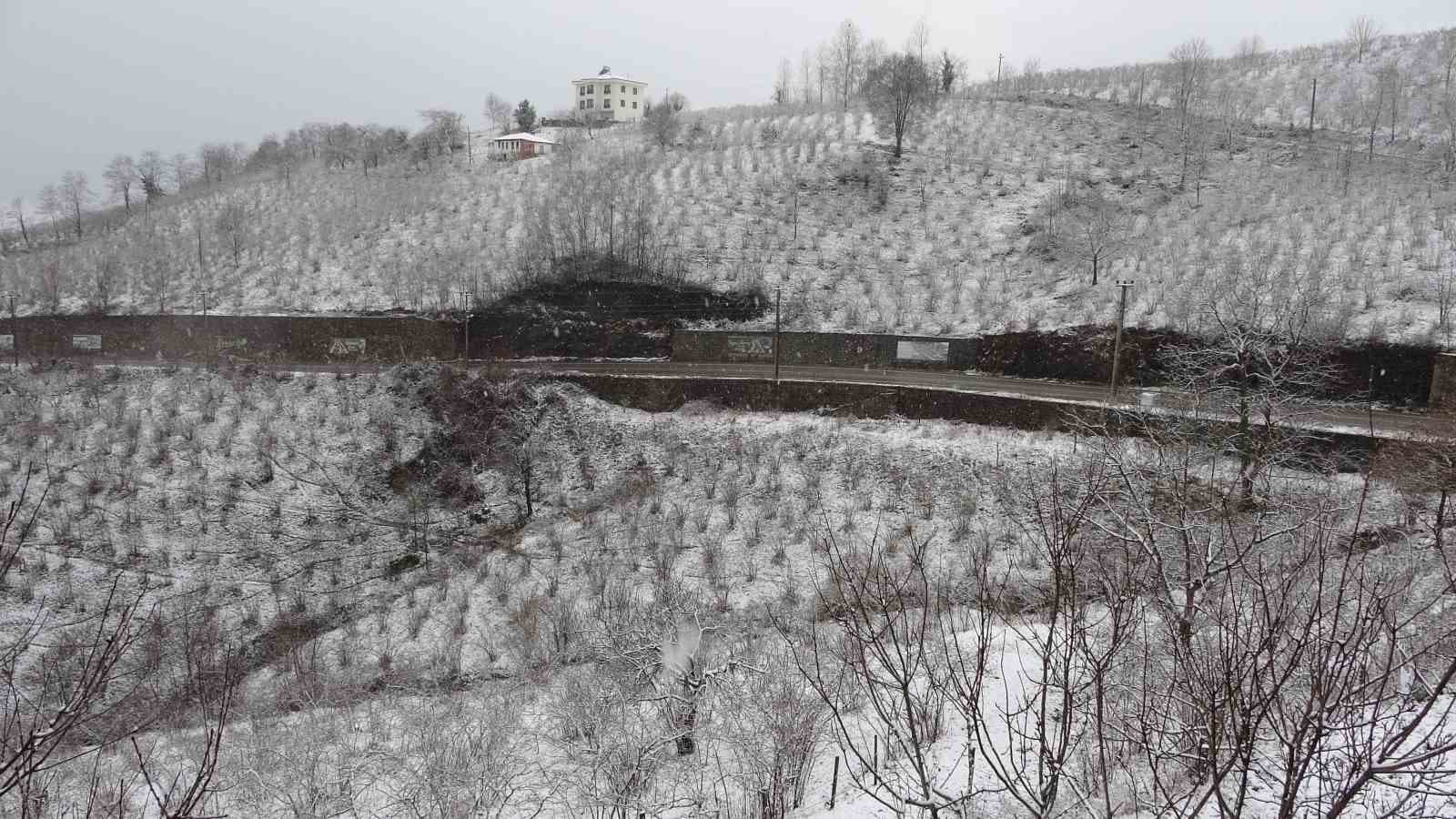 ‘Ordu’da etkili olan kar fındık için zararlı değil, yararlı’