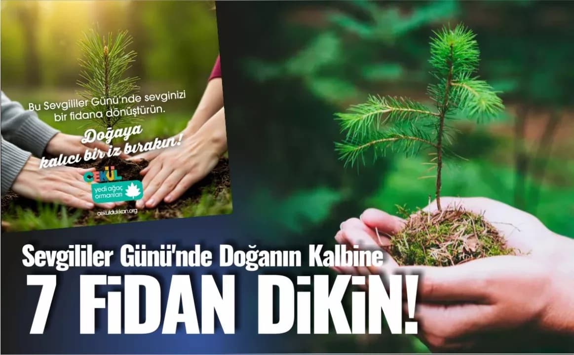 Sevgililer Günü’nde Doğanın Kalbine 7 Fidan Dikin!