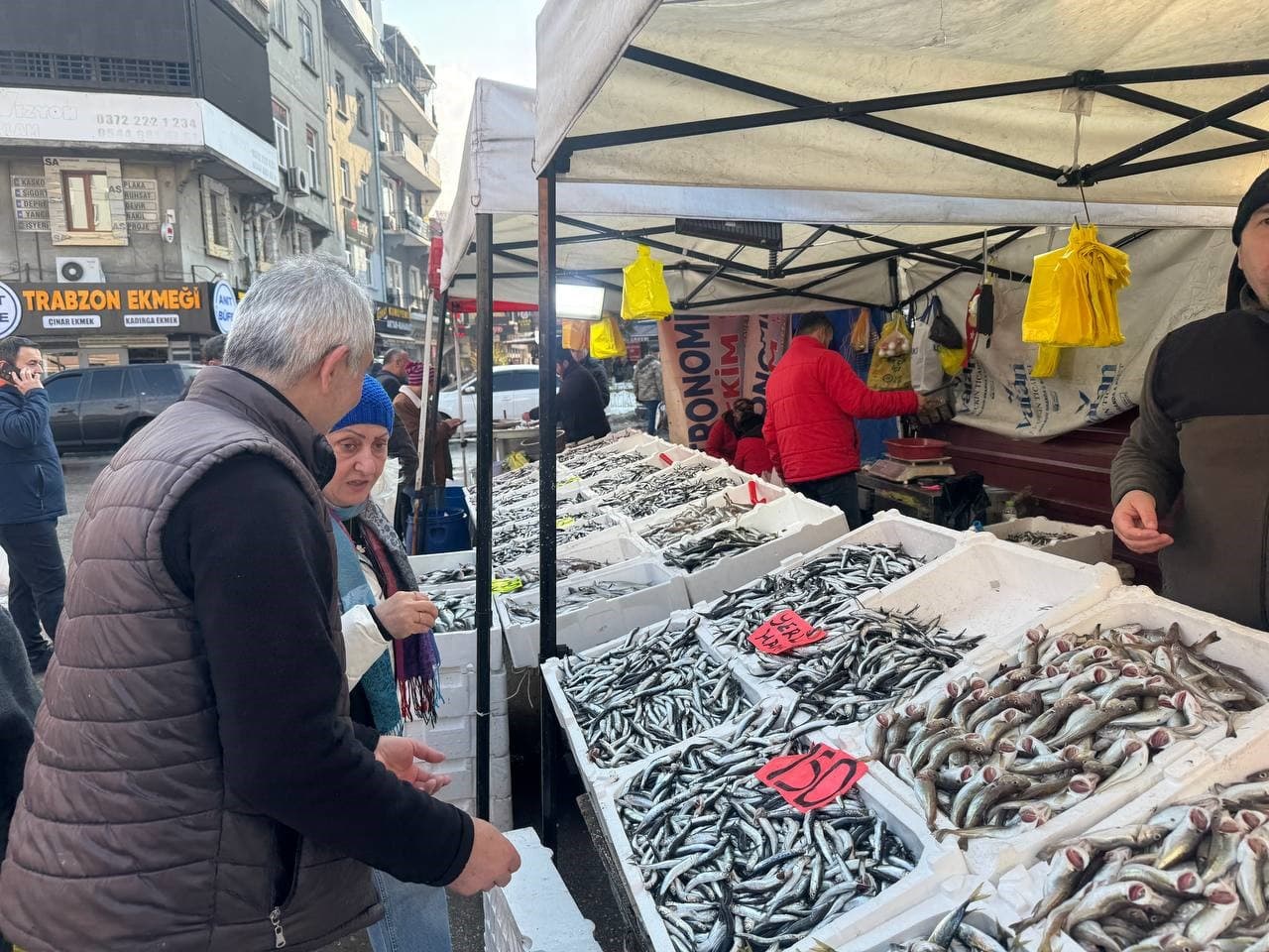 Hamsinin fiyatı düştü, vatandaş yoğun ilgi gösterdi