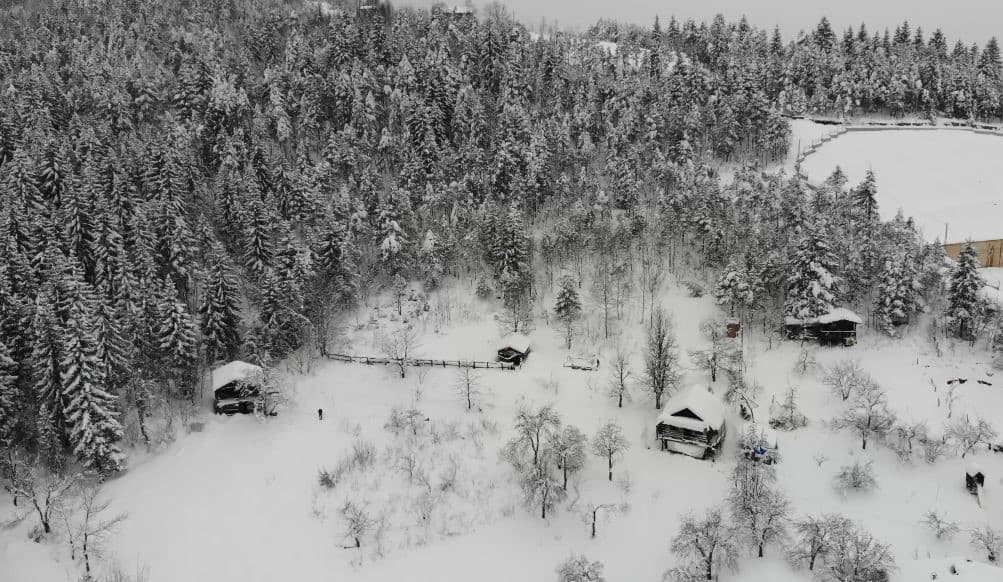 Artvin’de zorlu kış şartlarında boğa bakımı güçleşiyor