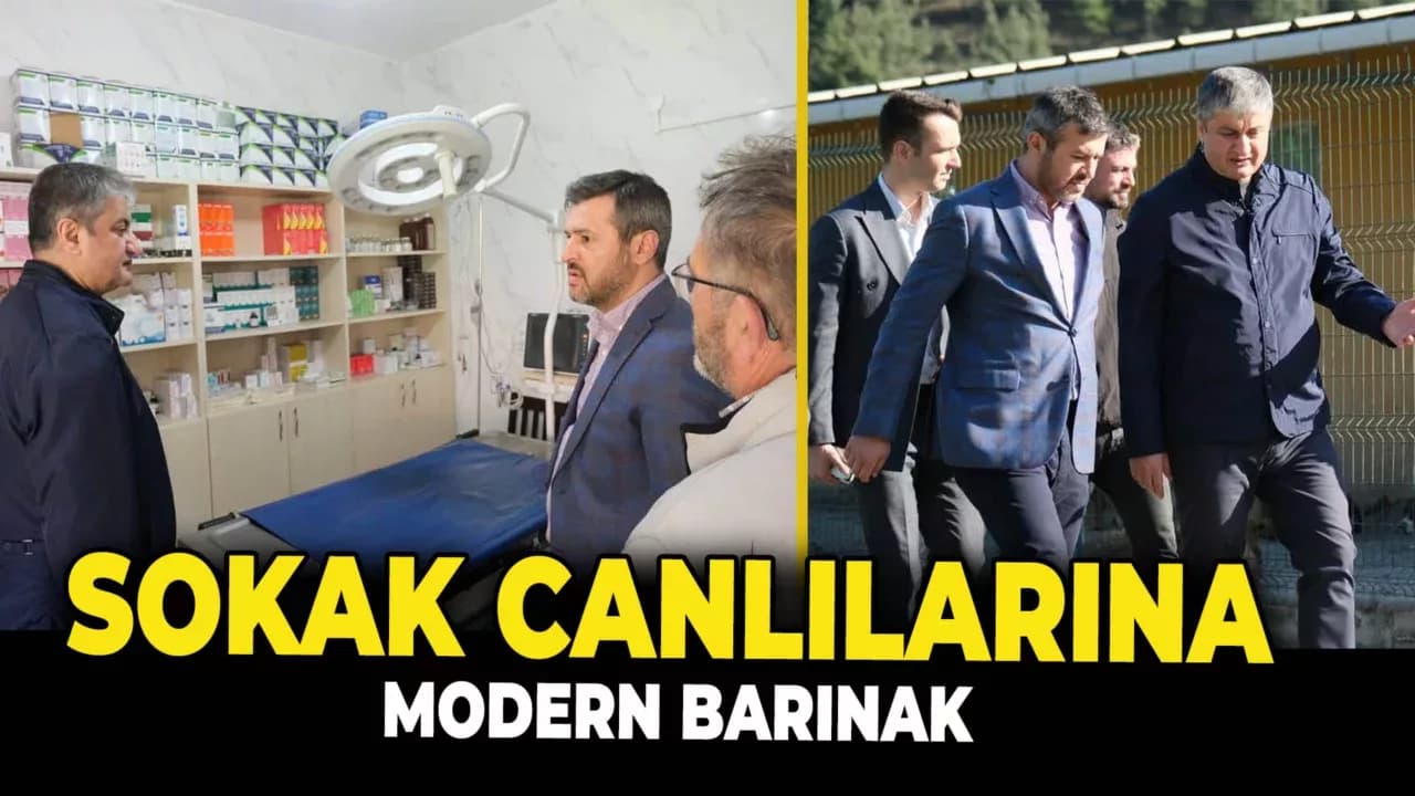 Karabük'te Modern Barınak İncelendi