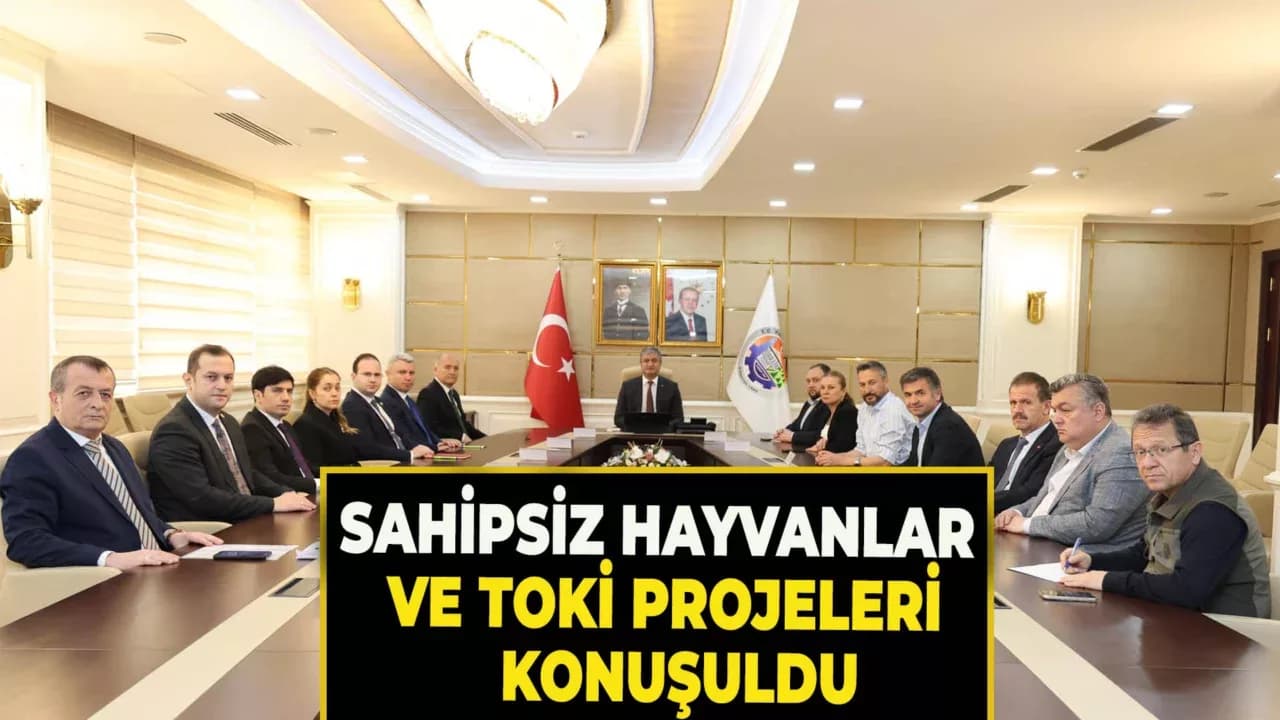 Karabük'te Hayvan Hakları, Şehirleşme ve Gıda Güvenliği Görüşüldü