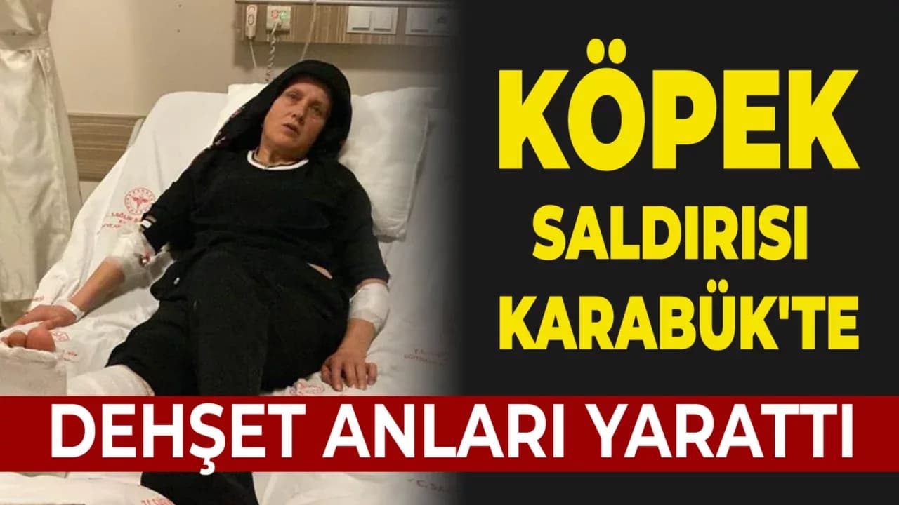 3 Köpeğin Saldırısına Uğrayan Kadın Yaralandı
