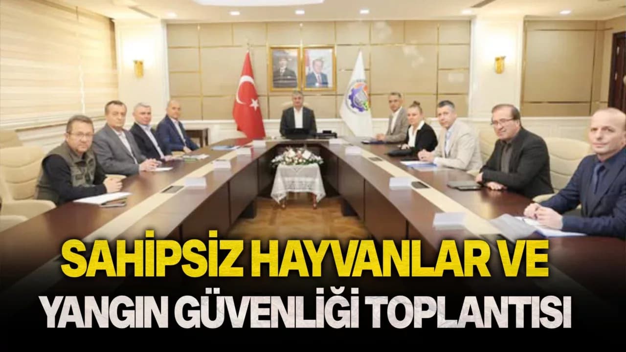 Sahipsiz Hayvanlar ve Yangın Güvenliği Toplantısı Yapıldı