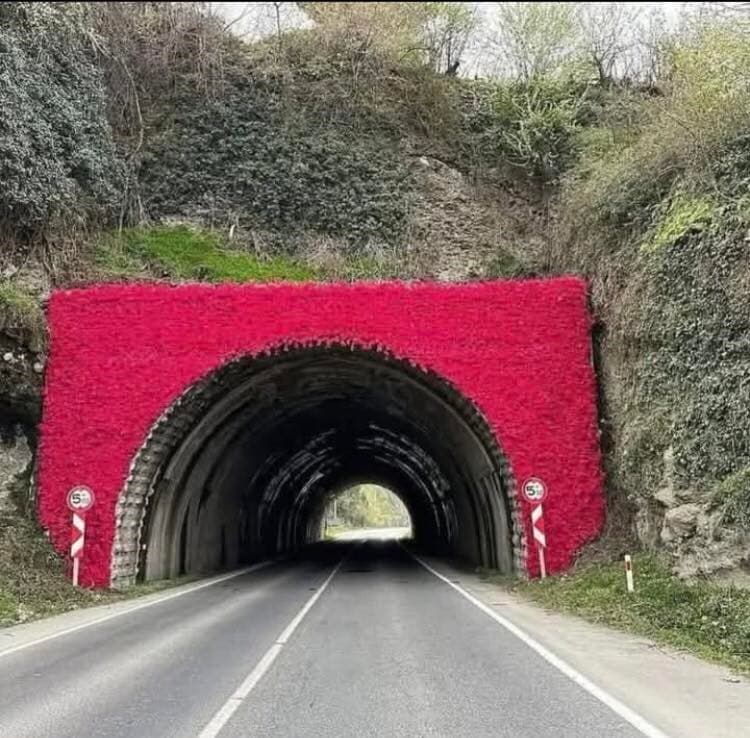 Perşembe Tüneli’ne ‘Cittaslow’ logosu