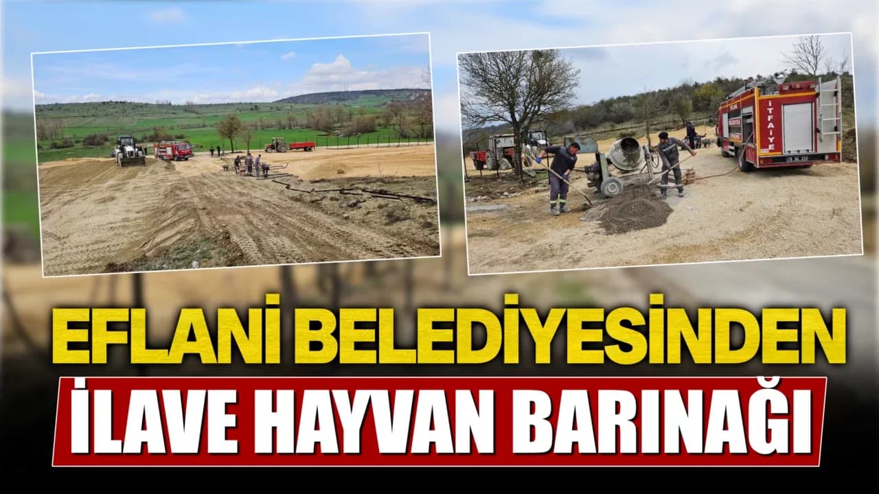 Eflani’de İlave Hayvan Barınağı çalışmaları başladı