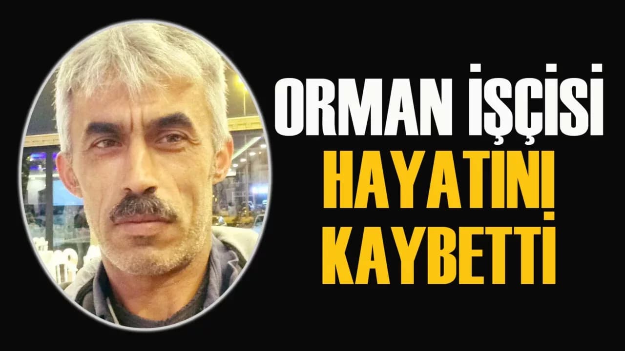 Başına ağaç parçası düşen orman işçisi yaşamını yitirdi