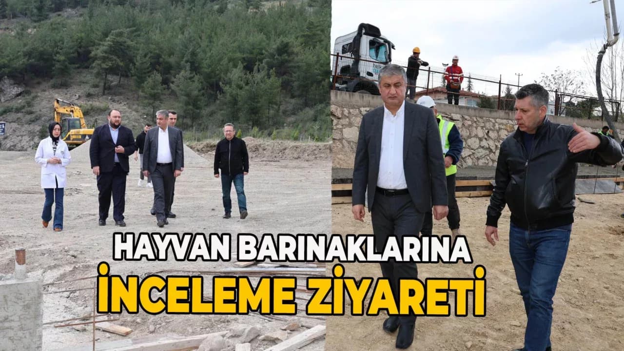 Vali Mustafa Yavuz’dan Sahipsiz Hayvanlara Yakın Takip