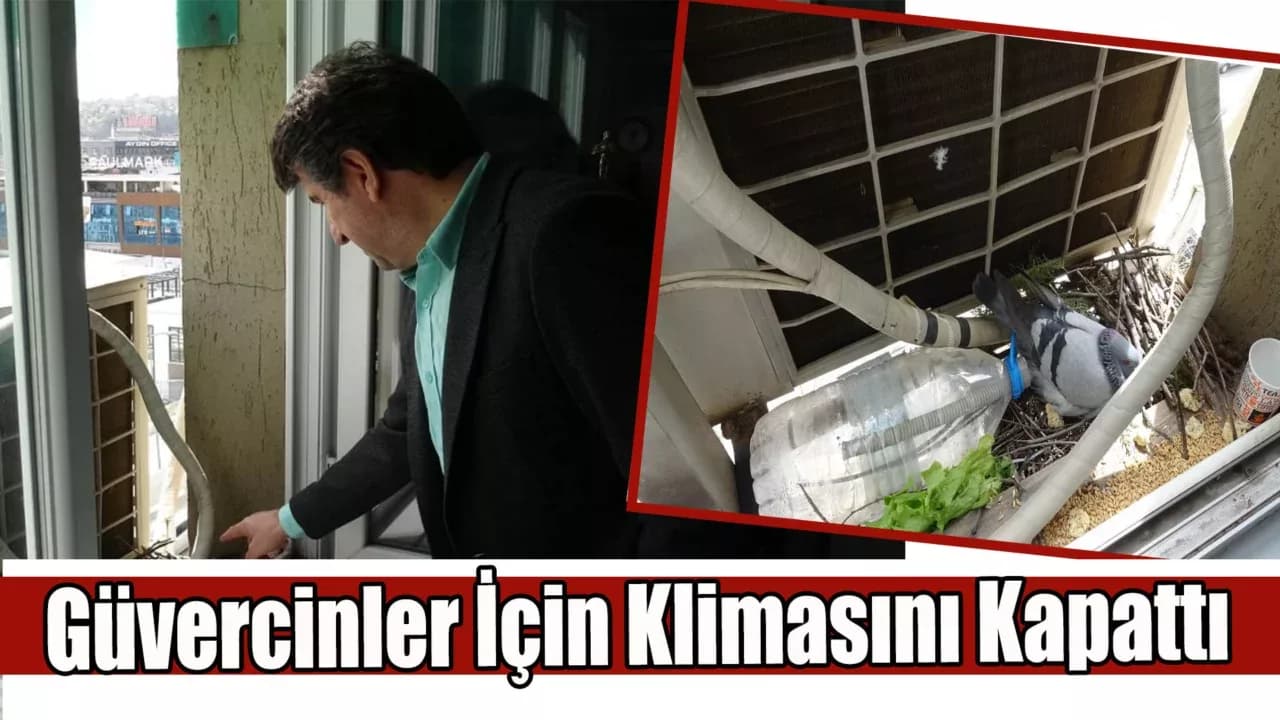  İnşaat Mühendisinden Örnek Davranış