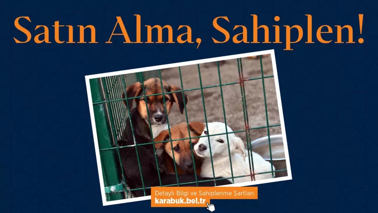 Başkan Çetinkaya’dan Anlamlı Çağrı: “Satın Alma, Sahiplen!”